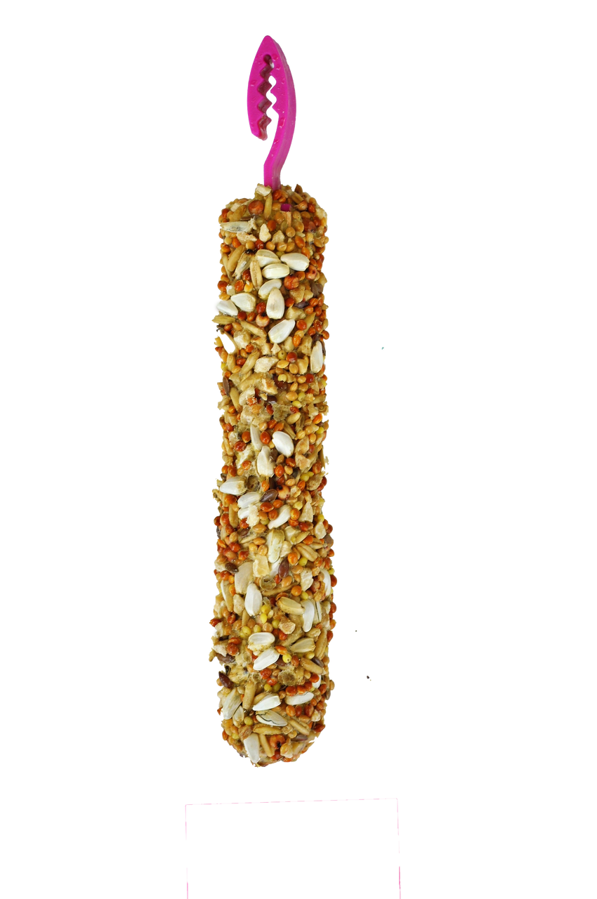 A & E Cages Smakers Snack Nut Treat Stick for Cockatiels 3.17 oz 2 Count