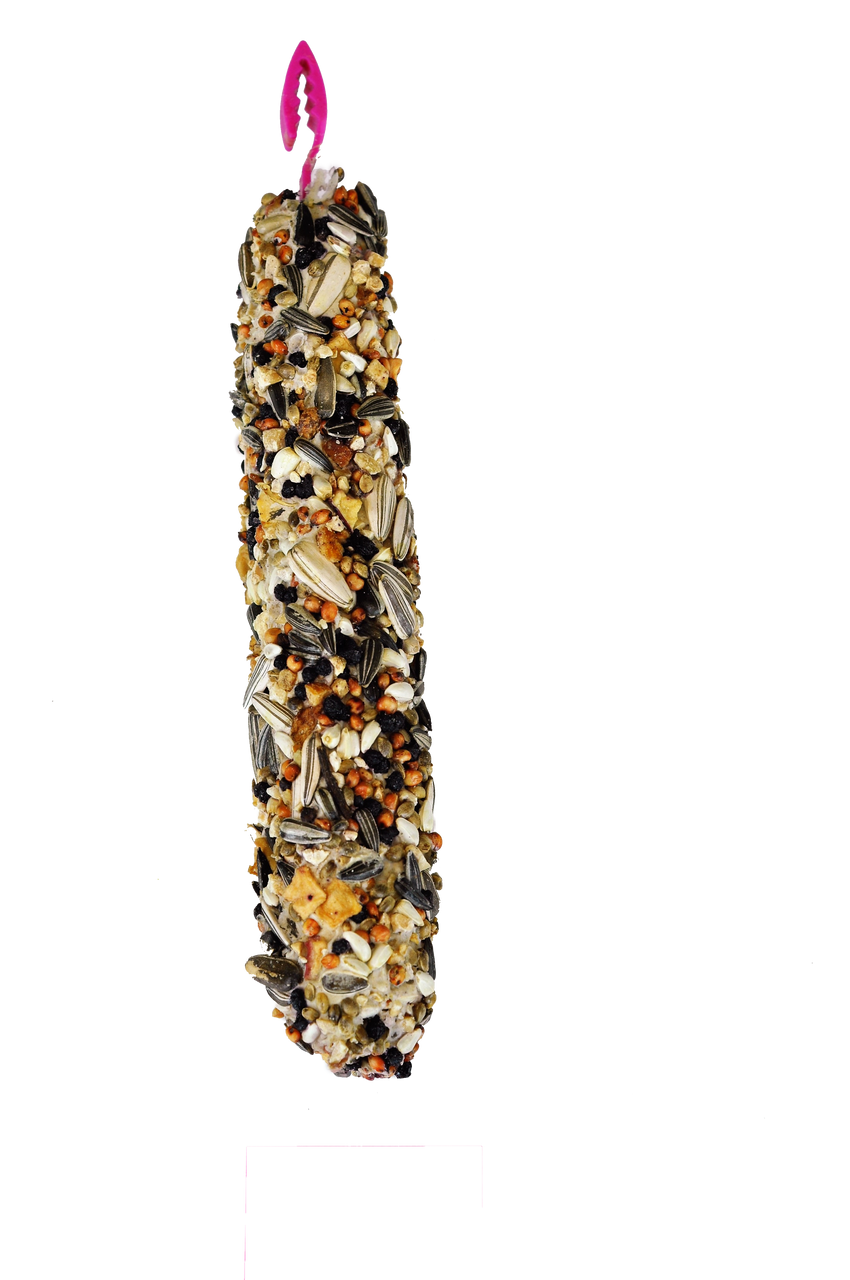 A & E Cages Smakers Snack Nut Treat Stick for Parrots 8.82 oz 2 Count