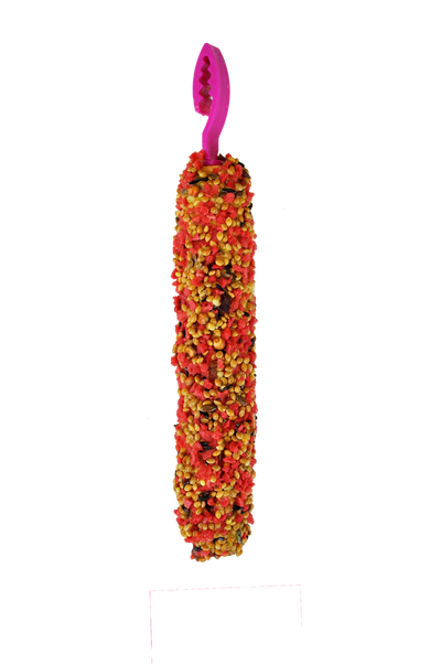 A & E Cages Smakers Snack Strawberry Treat Stick for Parakeets 3.17 oz 2 Count