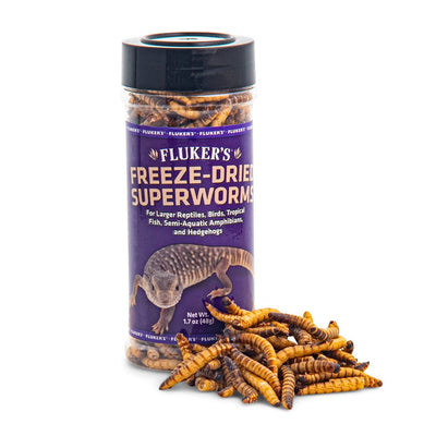 Fluker's Freeze-Dried Superworms 1.7 oz 091197720291