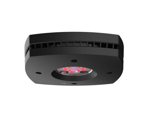 Aqua Illumination Prime Fuge LED Light Fixture Black - Aquarium