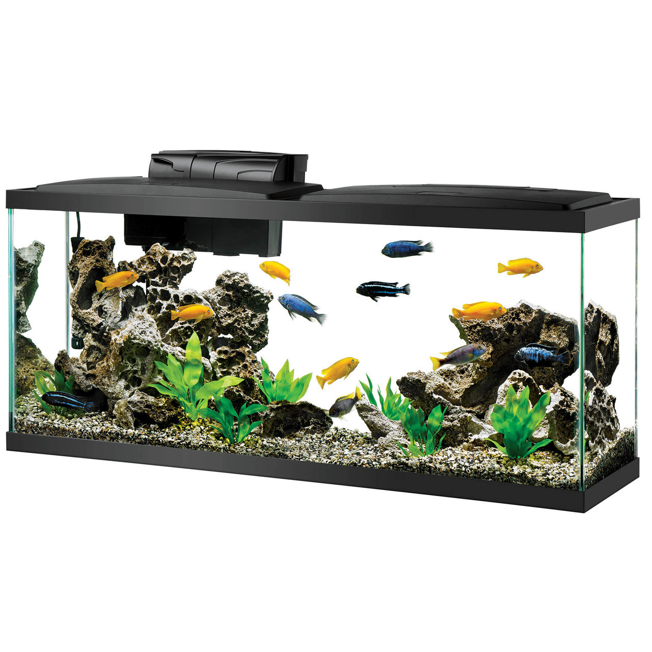 black light fish tank accessories Aqueon 55 Gallon LED Aquarium Kit