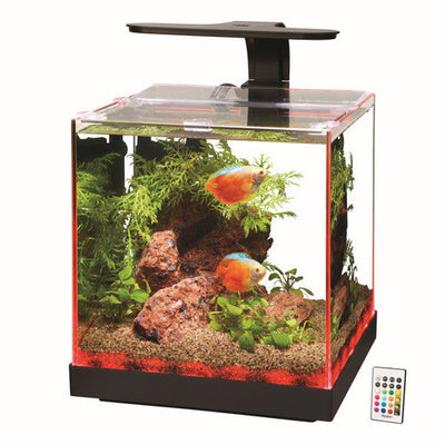 Aqueon Edgelit Rimless Cube Glass Aquariums Size 3 - Aquarium