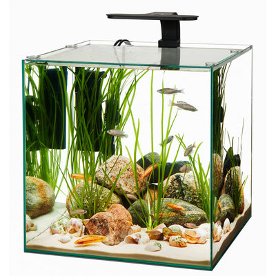 Aqueon Frameless Cube Aquarium 14