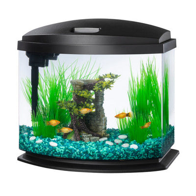 Aqueon LED MiniBow? Kit with SmartClean? Technology Black 5 Gallon - Aquarium