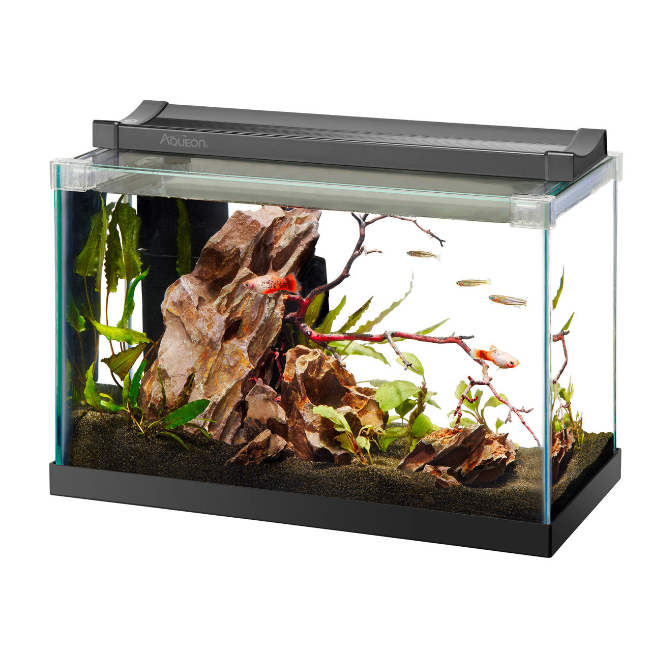 Aqueon Rimless Rectangle Aquarium Tank 2.5gal 015905001731 Pets Warehouse