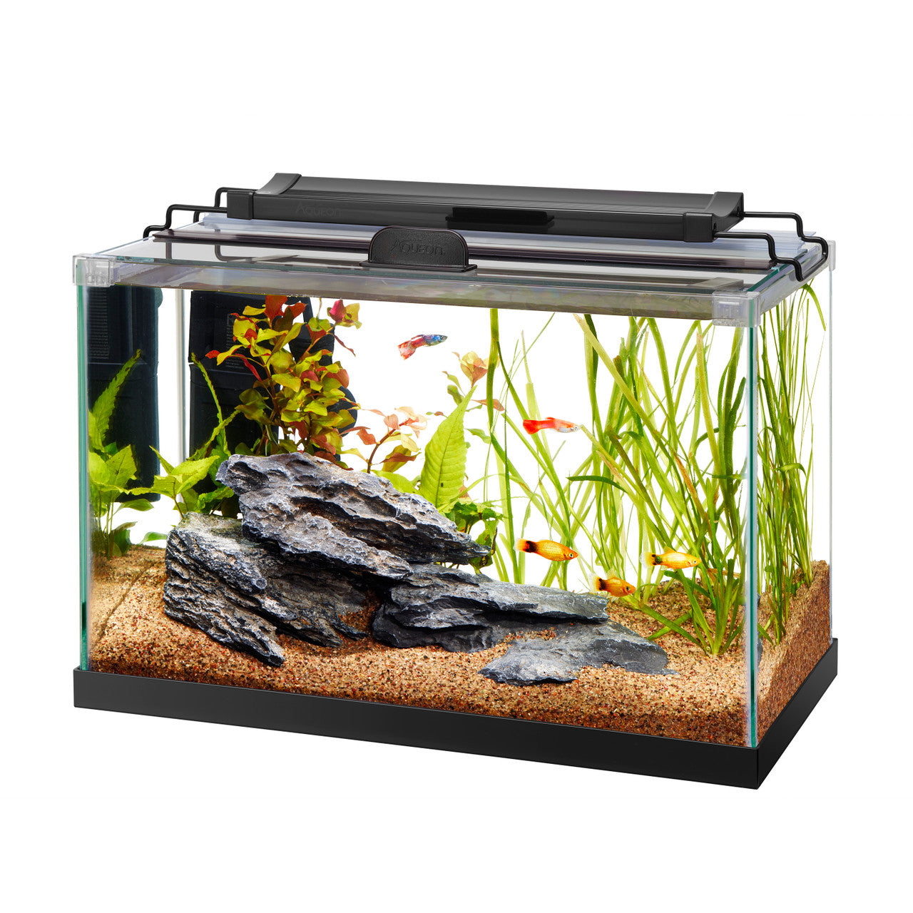 Rectangle fish shops tank