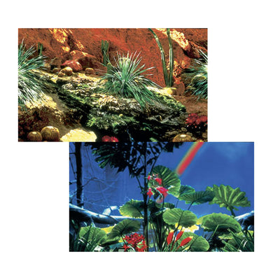 Penn-Plax Double Back Cactus Garden & Rainforest Background Roll 19.25In X 50 ft 030172130267