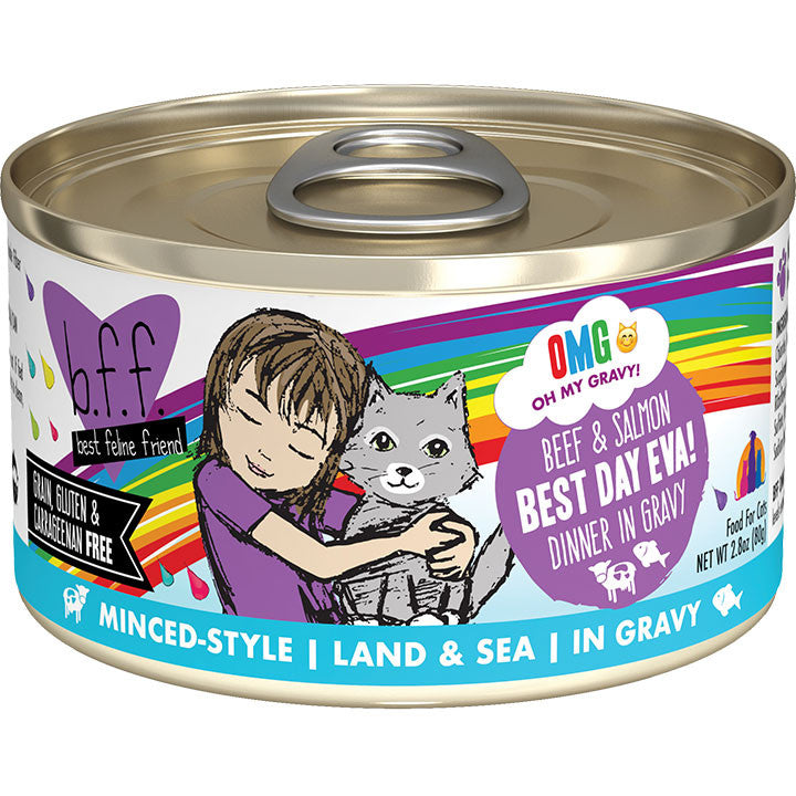 Bff C Best Day Bf Smn 2.8oz{L-x} 878408003943
