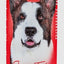 Bio Groom Flea & Tick Shampoo for Dogs 12 fl. oz