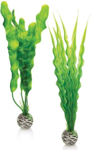 biOrb Easy Plant Medium Green 2 ct - Aquarium
