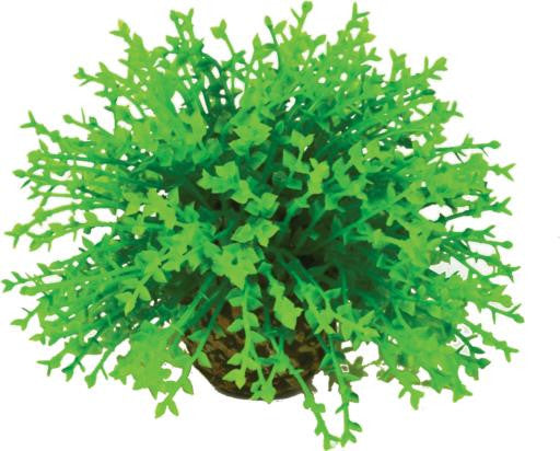biOrb Flower Ball Topiary Small 822728007303