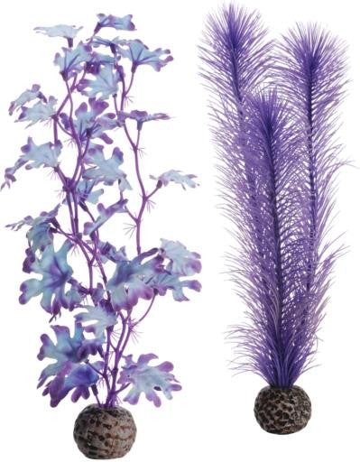 biOrb Kelp Set Medium Purple - Aquarium