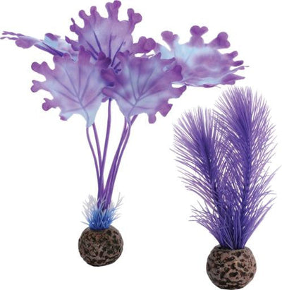 biOrb Kelp Set Small Purple - Aquarium
