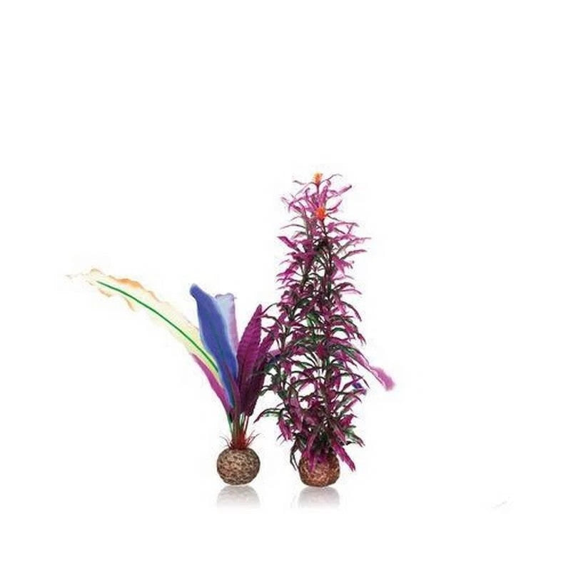 biOrb Parrot Feathers Small 822728550786