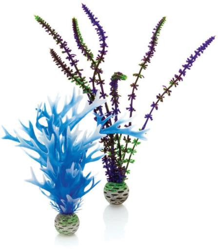 biOrb Plant Medium Blue / Purple 2 ct - Aquarium