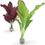 biOrb Silk Plant Medium Green / Purple  2 ct 822728005057