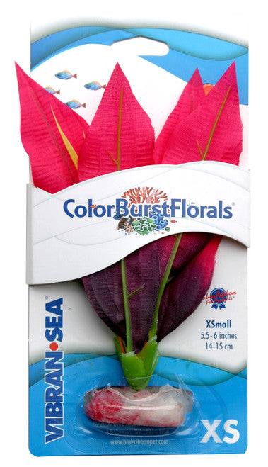 Blue Ribbon Colorburst Florals Amazon Sword Aquarium Plant Red XS