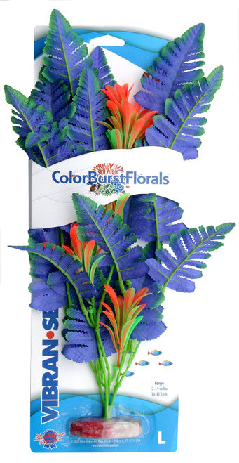 Blue Ribbon Colorburst Florals Butterfly Sword Aquarium Plant LG