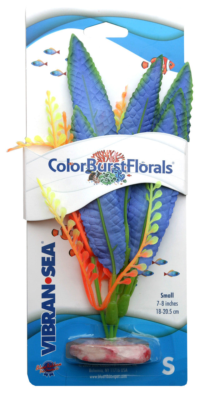 Blue Ribbon Colorburst Florals Crispus Aquarium Plant Blue SM