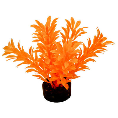 Blue Ribbon ColorBurst Florals Exotic Aquarium Plant Neon Orange 4