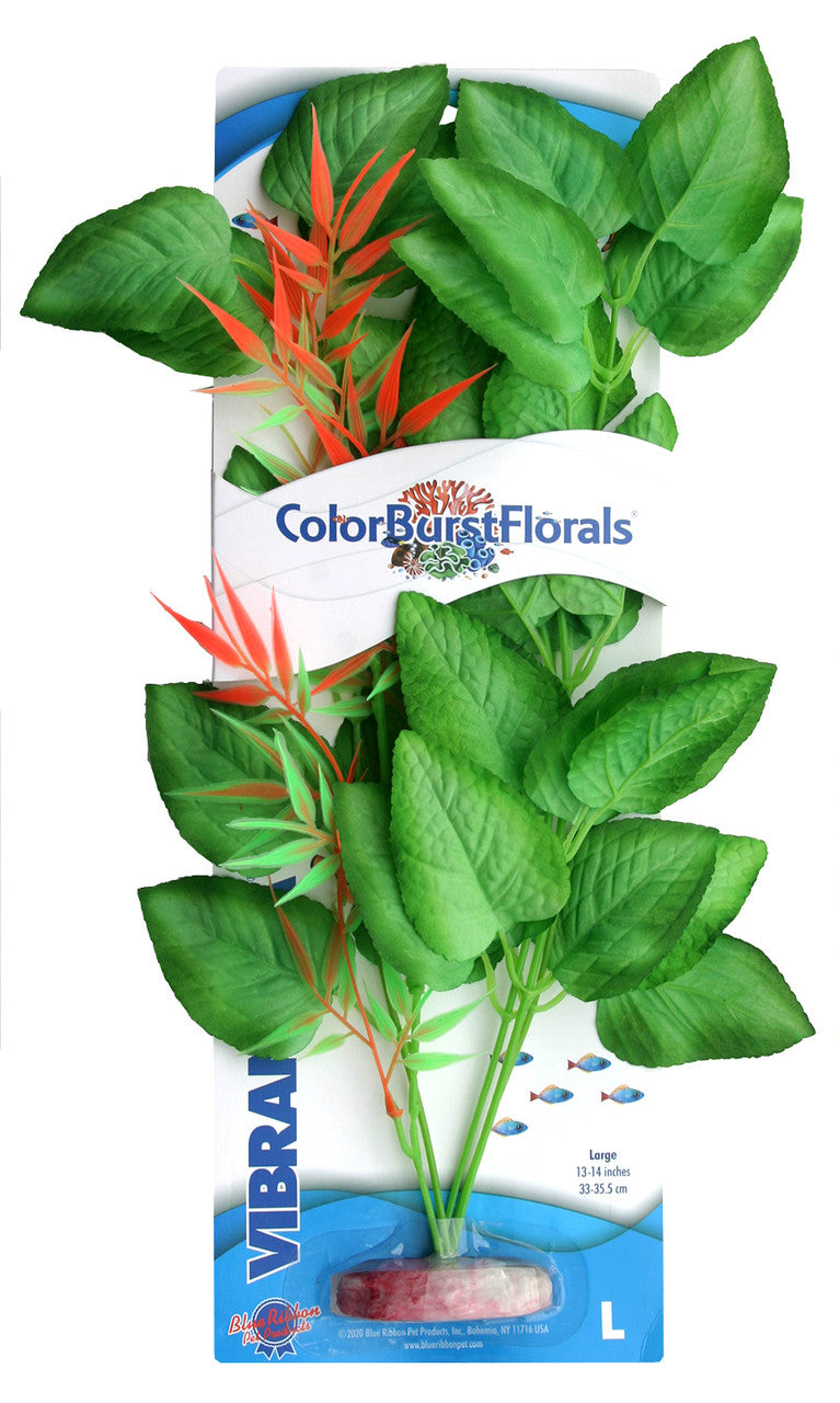 Blue Ribbon Colorburst Florals Marshwood Aquarium Plant Green LG