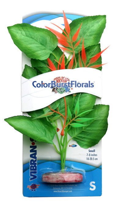 Blue Ribbon Colorburst Florals Marshwood Aquarium Plant Green SM