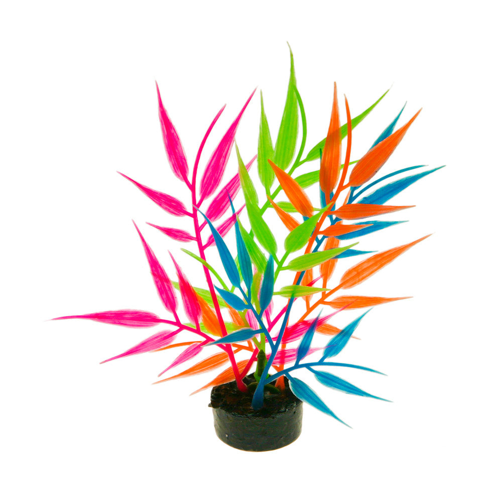 Blue Ribbon ColorBurst Florals Needle Leaf Aquarium Plant Orange, Pink, Blue, Green 3.25 in