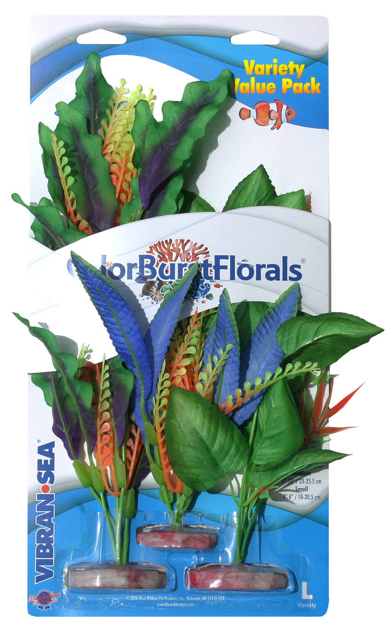 Blue Ribbon Colorburst Florals Plants Variety Pack 1 LG, 1 MD, 1 SM