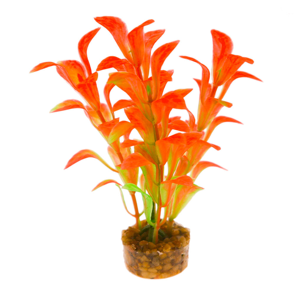 Blue Ribbon ColorBurst Florals Scoop Leaf Aquarium Plant Orange 3.25 in