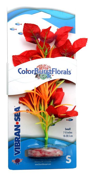 Blue Ribbon Colorburst Florals Willow Leaf Aquarium Plant Red SM