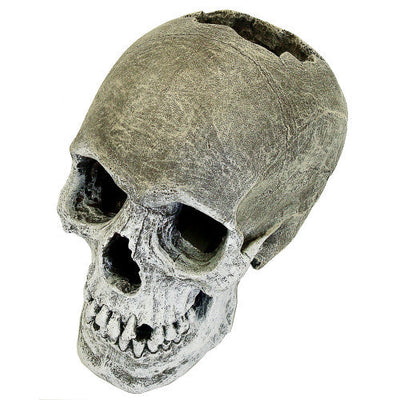 Blue Ribbon Exotic Environments Life - like Human Skull Aquarium Ornament Grey 6