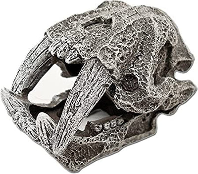 Blue Ribbon Saber Tooth Skull Mini - Aquarium