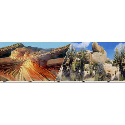 Blue Ribbon Vibran-Sea Double Sided Background Cactus and Desert Stone 19 Inches X 50 Feet