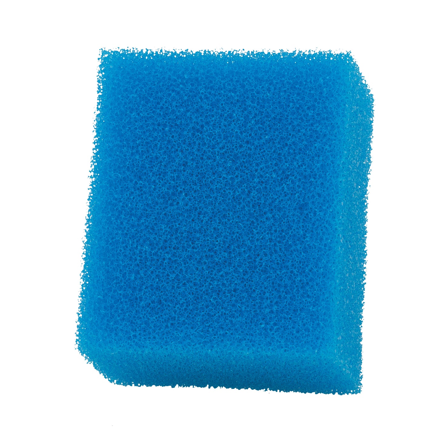 Aqua Clear 50 Foam Blue 3pk A1394{L+7}