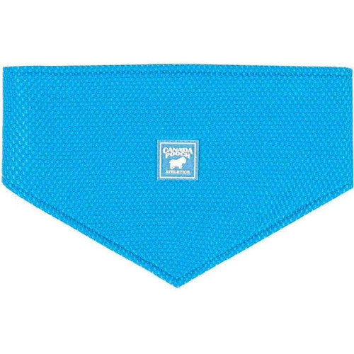 Canada Pooch Chl Seeker bandana Blu Sm - Dog