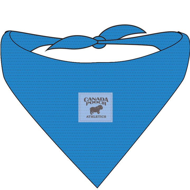 !canada Pooch Dog Chill Seeker Bandana Blue Medium 628284029373