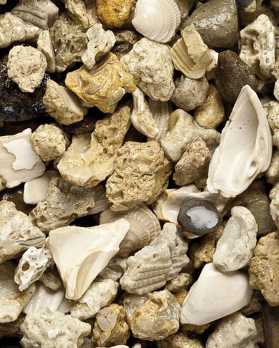 CaribSea African Cichlid Mix Original Gravel 20 lb