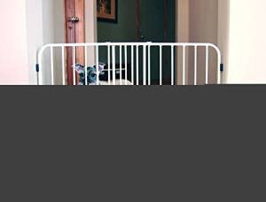 Carlson Expandable Metal Pet Gate With Door 24’ H X 26’ - 42’ W {L - 1}916091 - Dog