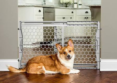 Carlson Plastic Expandable Gate {L - 1}916027 - Dog