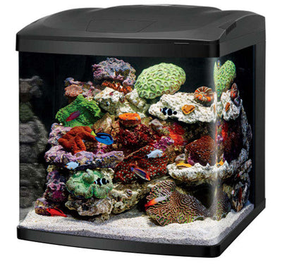 Coralife LED Biocube Marine or Freshwater Aquarium Kit 32