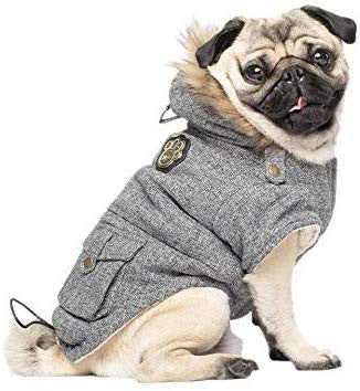 Cp D Army Parka Salt Pep 10 {L-x} 628284017554