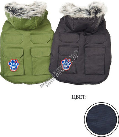 Cp D Ev Exp Bk 16{L + x} - Dog