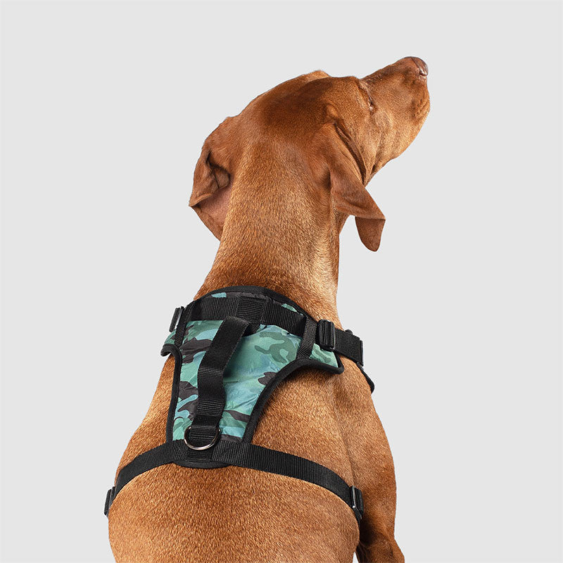 Cp D Evthng Hrn Camo Lg 628284019558