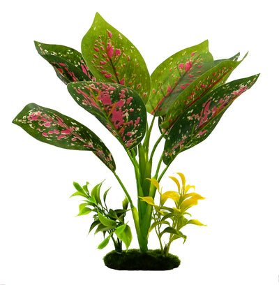 Blue Ribbon Pet Products Tropical Gardens Chinese Evergreen Aquarium Plant 12 in 030157021047