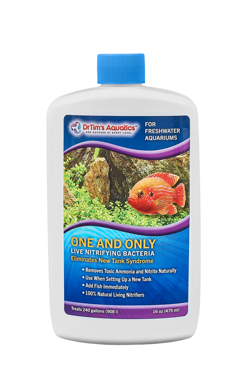 Dr. Tim's Aquatics One & Only Live Nitrifying Bacteria for Freshwater Aquariums 16 fl. oz