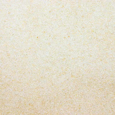 Estes Stoney River Aquarium Sand Marine Natural 2/25 lb