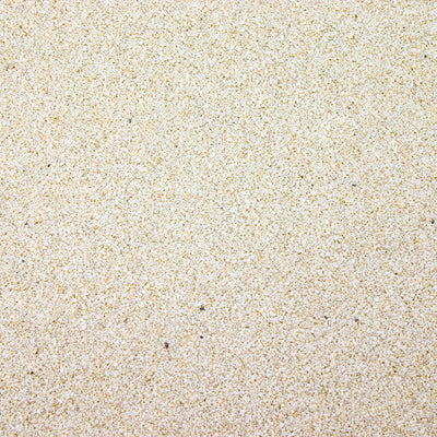 Estes Stoney River Aquarium Sand Reef White 6/5 lb