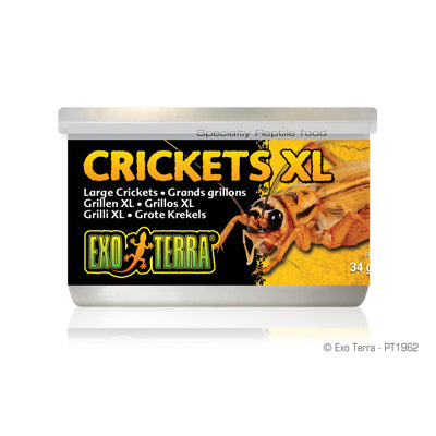 Exo Terra Canned Crickets, XL, 1.2 oz 015561219624