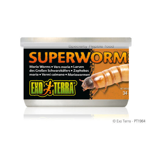 Exo Terra Canned Super Worms 1.1 oz - Reptile